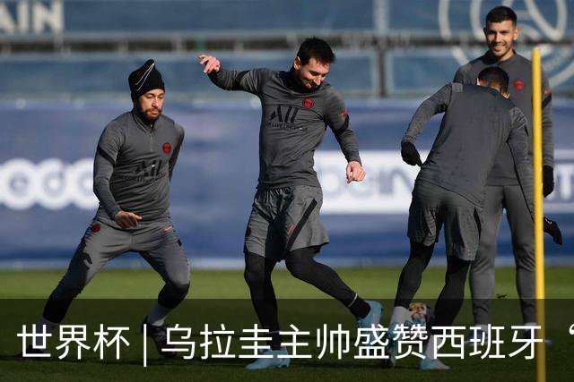 世界杯 | 乌拉圭主帅盛赞西班牙“精致足球”